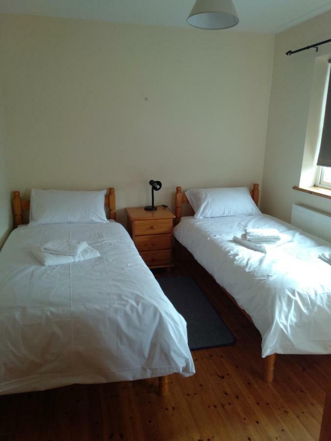 Townhouse 4 Barrow Lane Villa Carlow Kültér fotó