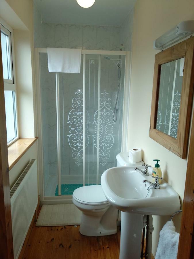 Townhouse 4 Barrow Lane Villa Carlow Kültér fotó